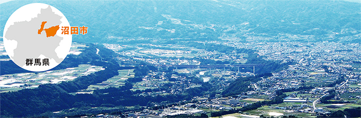 河岸段丘 河岸段丘