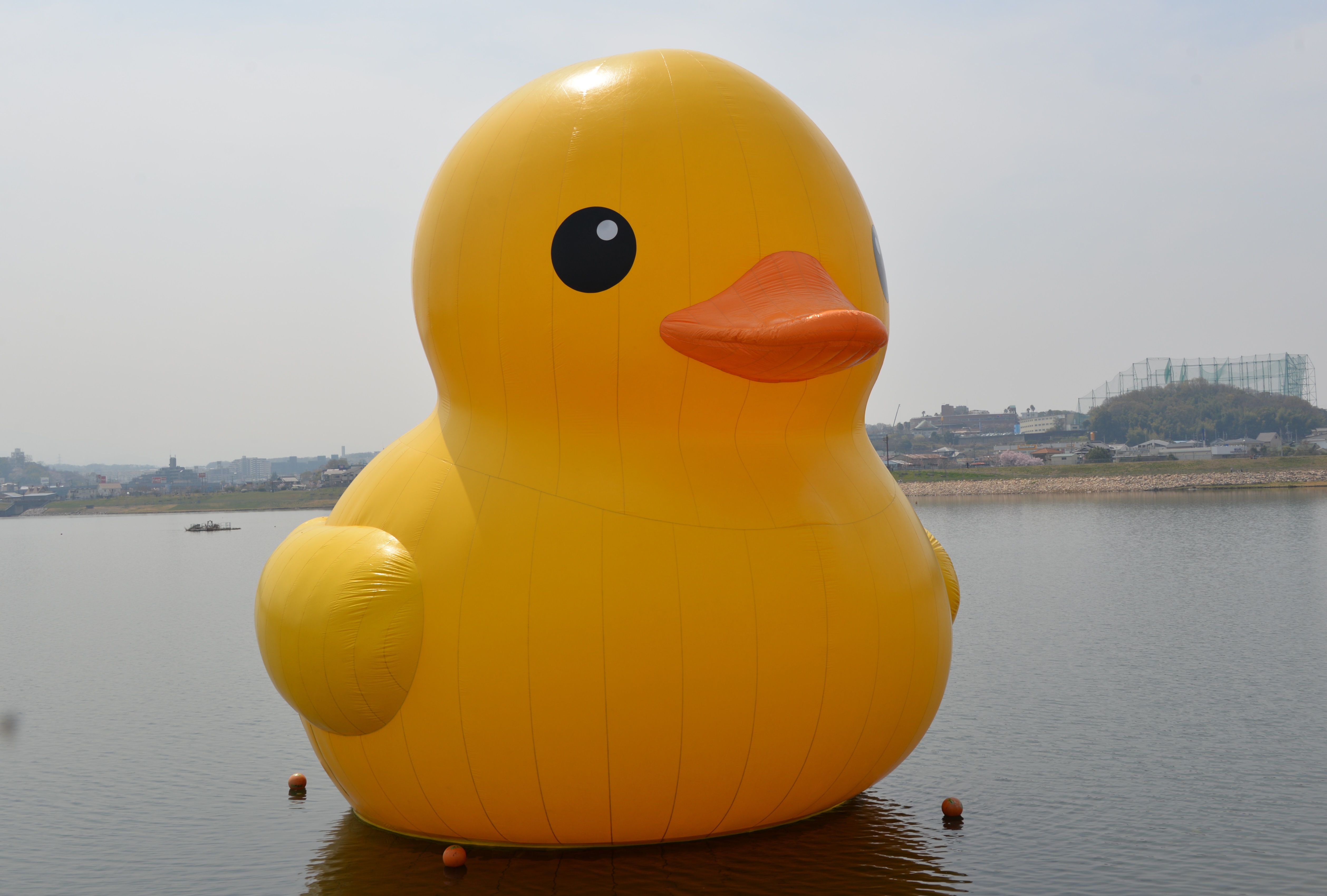 トリミング_KHD_0904.jpg